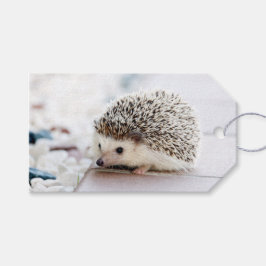 Hedgehog Baby Presentetikett