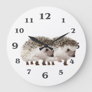 Hedgehog-bild för lås för akrylisk vägg stor klocka