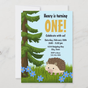 Hedgehog Birthday bjudande Inbjudningar