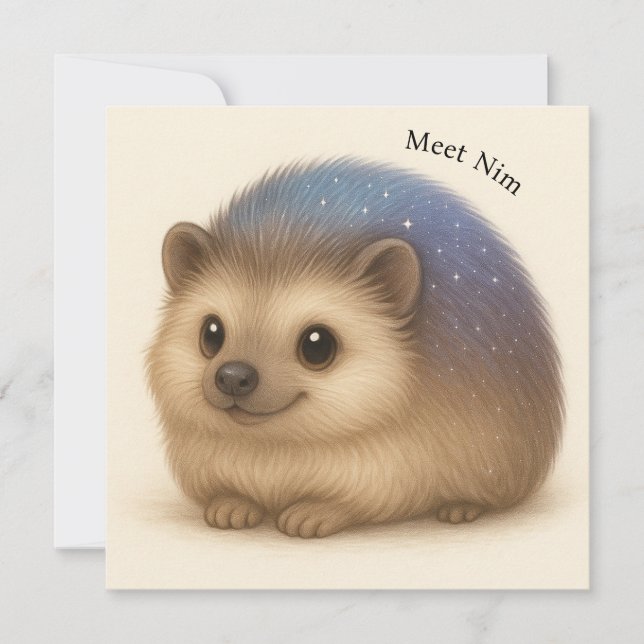 Hedgehog Comfort Greeting Card Meet Nim - Series (Framsida)