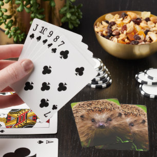 Hedgehog Curiely Exploring Casinokort