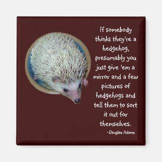 Hedgehog eller Person magnet