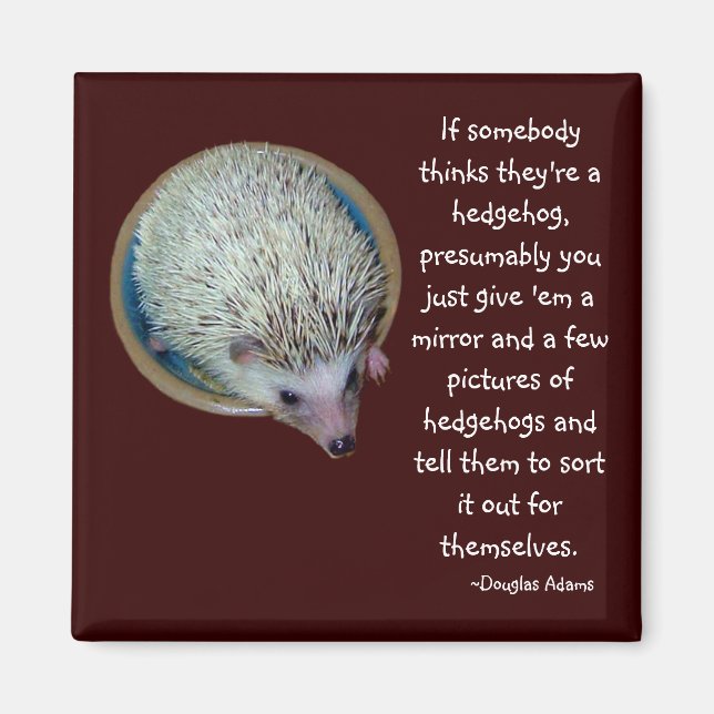 Hedgehog eller Person magnet (Framsidan)
