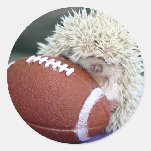 Hedgehog Football Runt Klistermärke (Framsida)