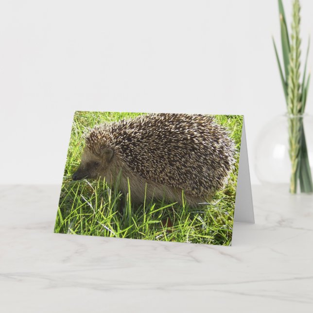 Hedgehog Greeting Card Kort (Framsida)