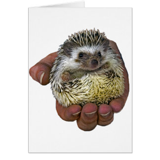 Hedgehog Hälsningskort
