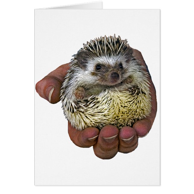 Hedgehog Hälsningskort (Framsidan)