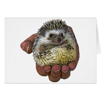 Hedgehog Hälsningskort