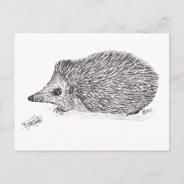 HEDGEHOG HELG VYKORT (Framsida)