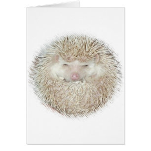 Hedgehog i Boll Hälsningskort