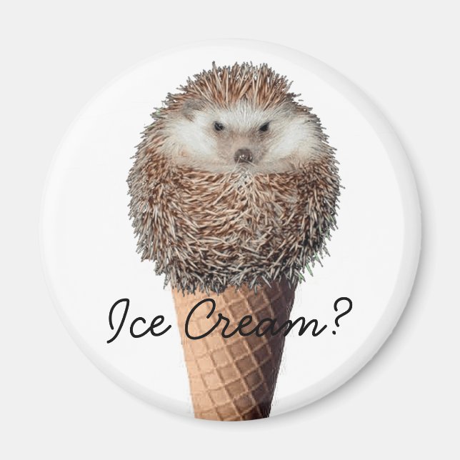Hedgehog Ice Cream Magnet (Framsidan)