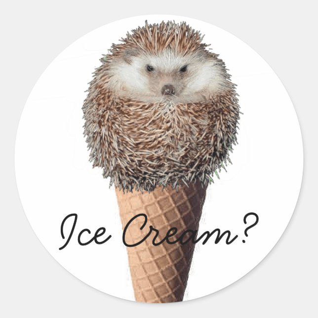 Hedgehog Ice Cream Runt Klistermärke (Framsida)