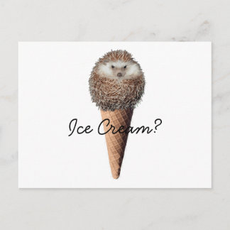Hedgehog Ice Cream Vykort
