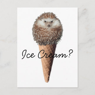 Hedgehog Ice Cream Vykort