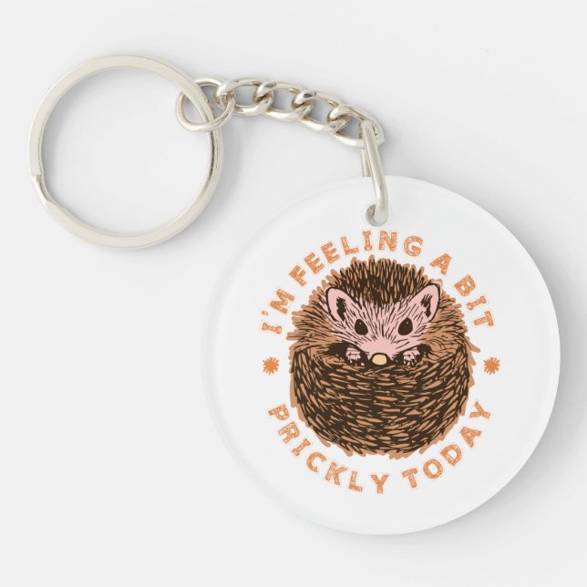 Hedgehog I'm Feeling A Bit Prickly Today (Framsidan)