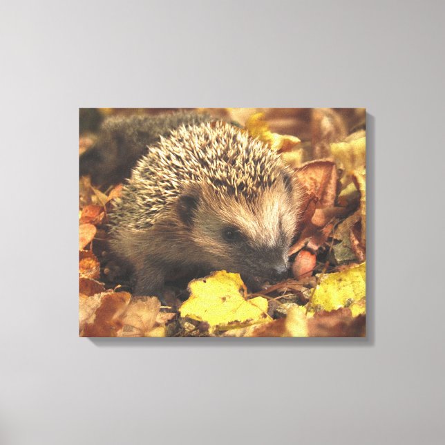 Hedgehog in Autumn Canvastryck (Framsida)