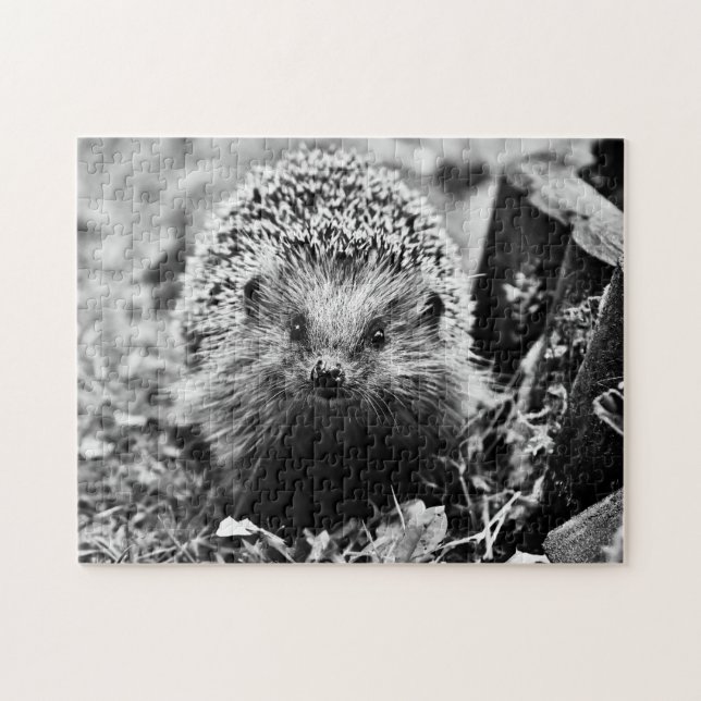 Hedgehog in black-white, Jigszawa Puzzle Pussel (Horisontell)