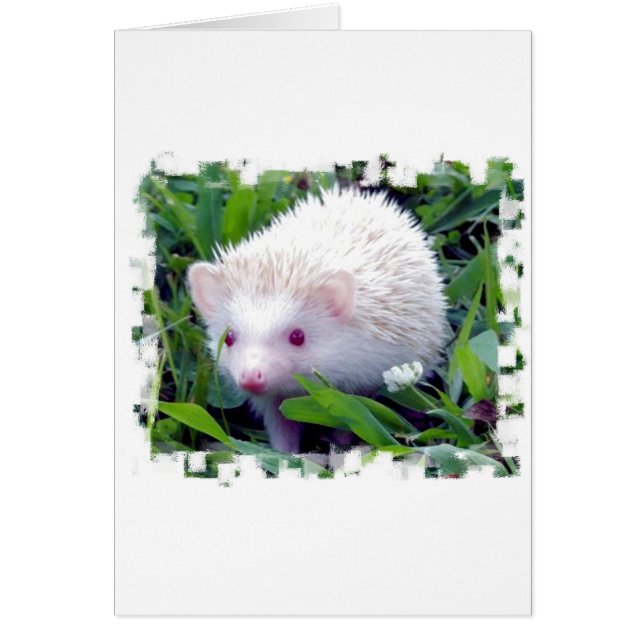 Hedgehog in the Grass Hälsningskort (Framsidan)