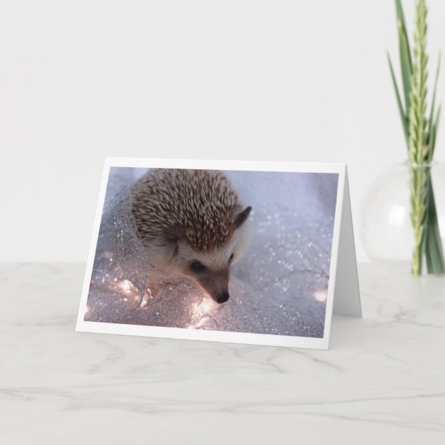 Hedgehog-julkort Helgkort (Framsida)