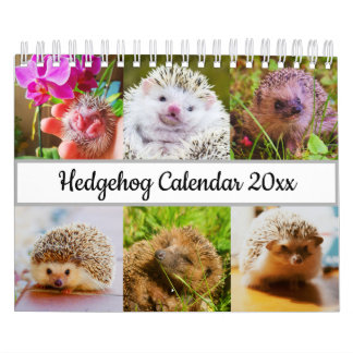Hedgehog Kalender