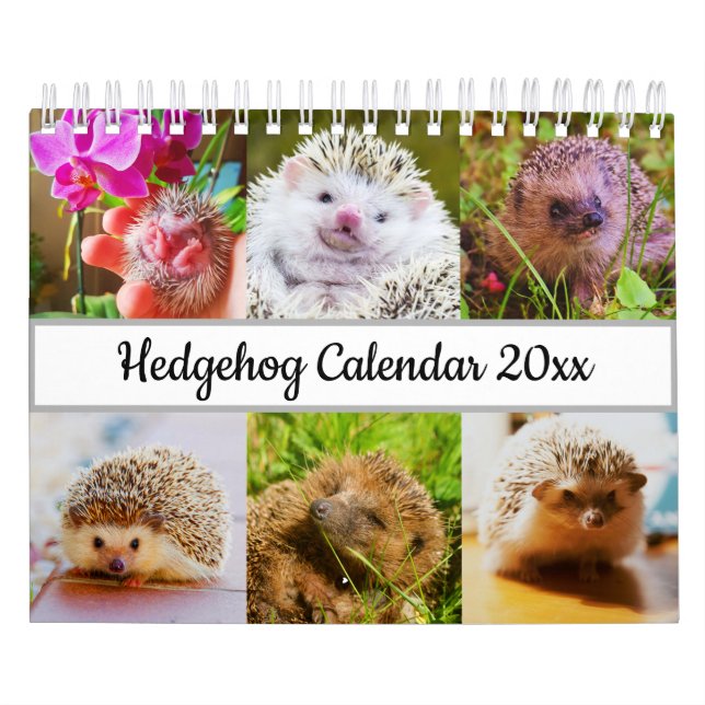 Hedgehog Kalender (Omslag)