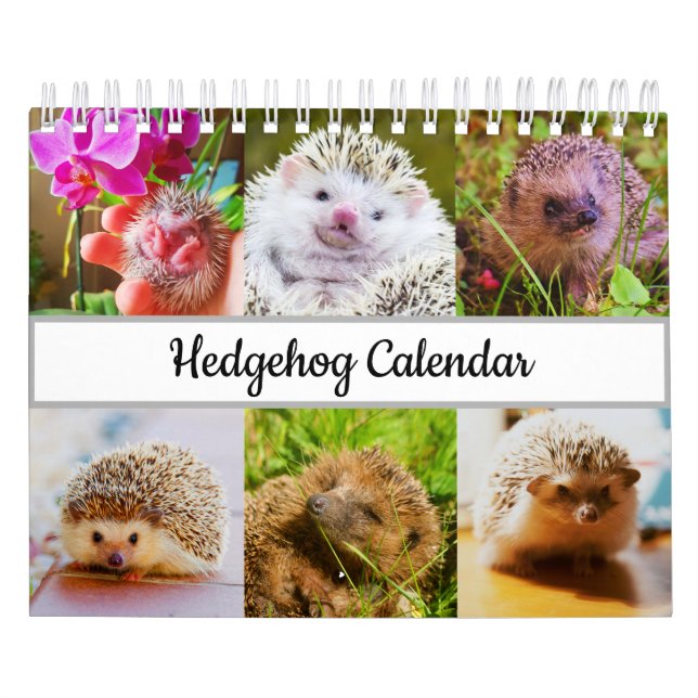 Hedgehog Kalender (Omslag)