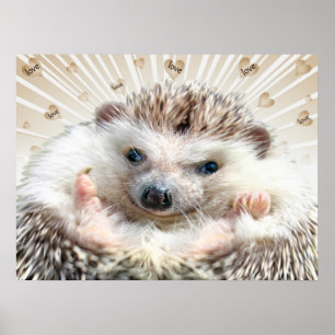 Hedgehog Kärlek Poster