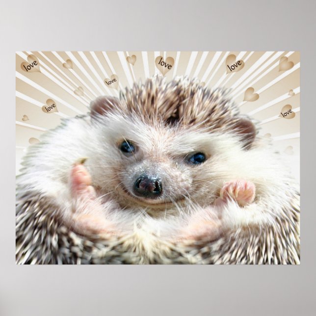 Hedgehog Kärlek Poster (Framsidan)