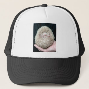 Hedgehog Keps