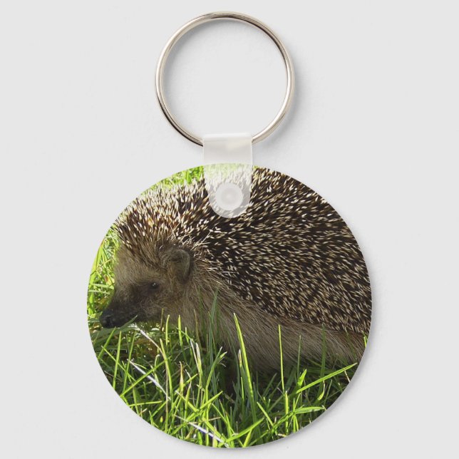 Hedgehog Keychain Nyckelring (Framsida)