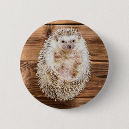 Hedgehog Knapp