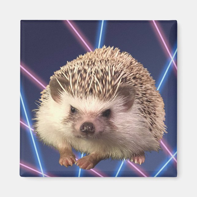 Hedgehog Laser Background Magnet (Framsidan)