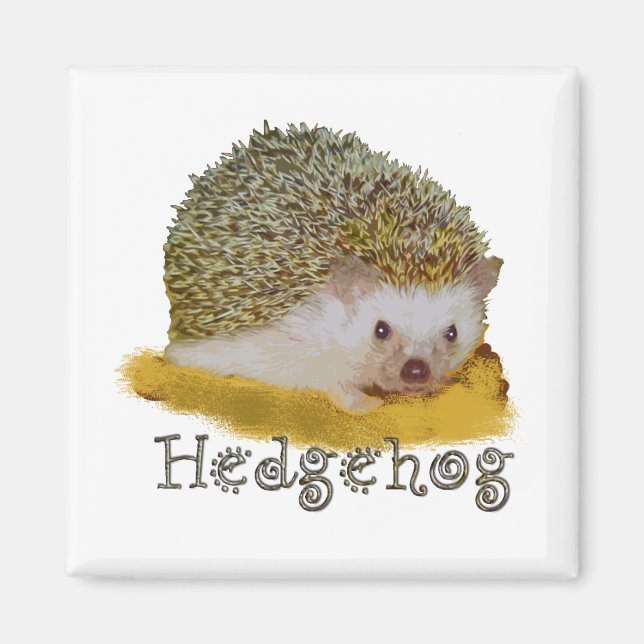 Hedgehog magnet (Framsidan)