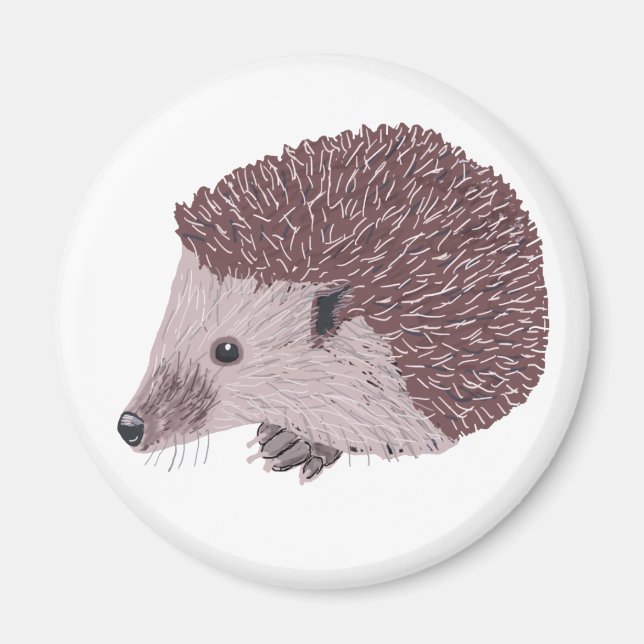 Hedgehog Magnet (Framsidan)