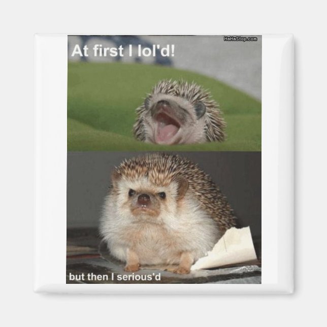 Hedgehog magnet (Framsidan)