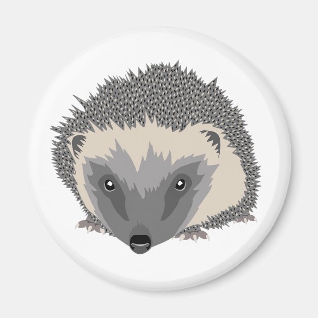 Hedgehog Magnet (Framsidan)