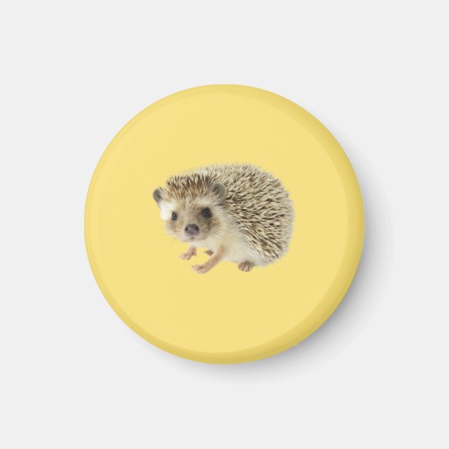 Hedgehog Magnet (Framsidan)