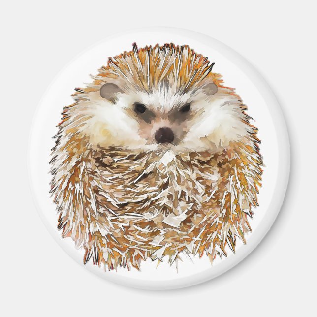 Hedgehog magnet (Framsidan)