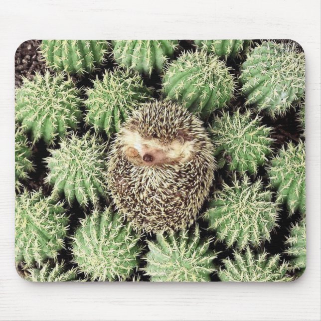 Hedgehog Mousepad Musmatta (Framsidan)