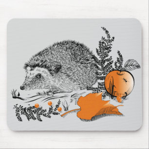 Hedgehog Musmatta
