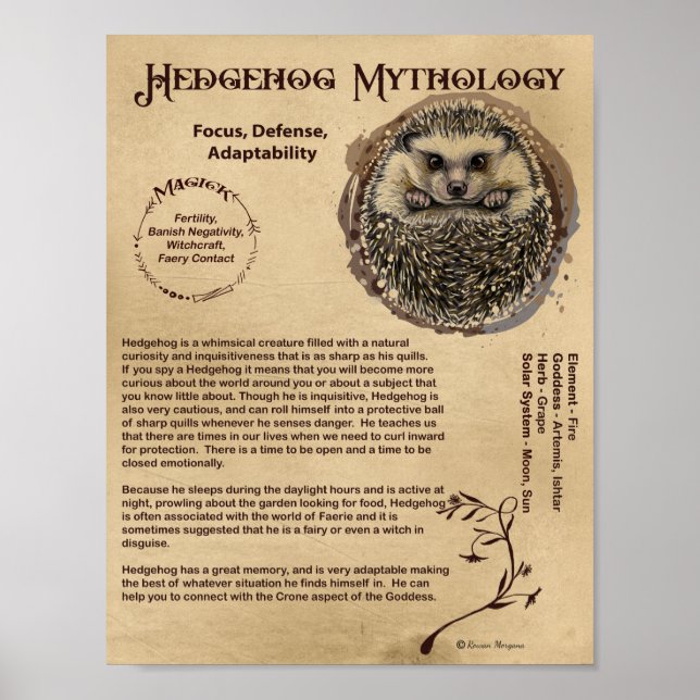 HEDGEHOG MYTOLOGY POSTER (Framsidan)