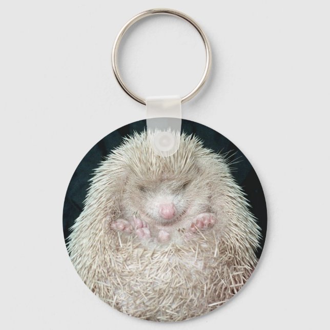 Hedgehog Nyckelring (Framsida)