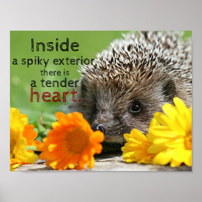 Hedgehog och blommor|| Anbud i citattecken Poster (Framsidan)