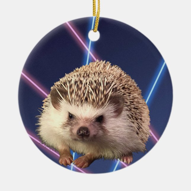 Hedgehog Ornament (Framsidan)