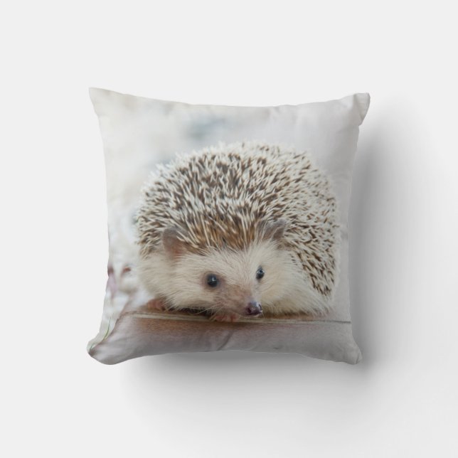 Hedgehog Pillow Kudde (Framsida)