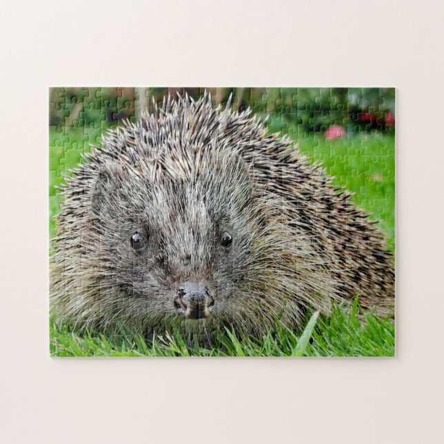 Hedgehog Pussel (Horisontell)