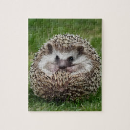 Hedgehog Pussel