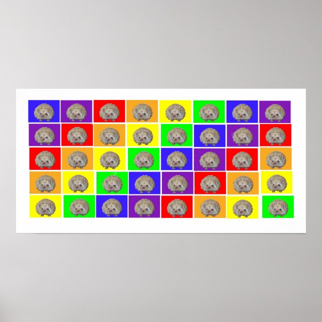Hedgehog Rainbow Poster (Framsidan)