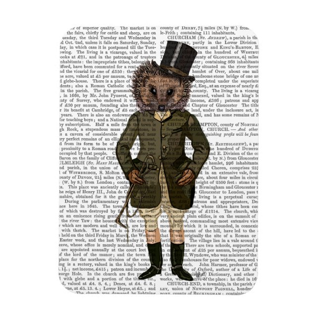 Hedgehog Rider Fullt Magnet (Vertikal)