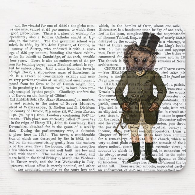 Hedgehog Rider Fullt Musmatta (Framsidan)